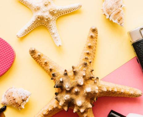 Date de fermeture été 2026